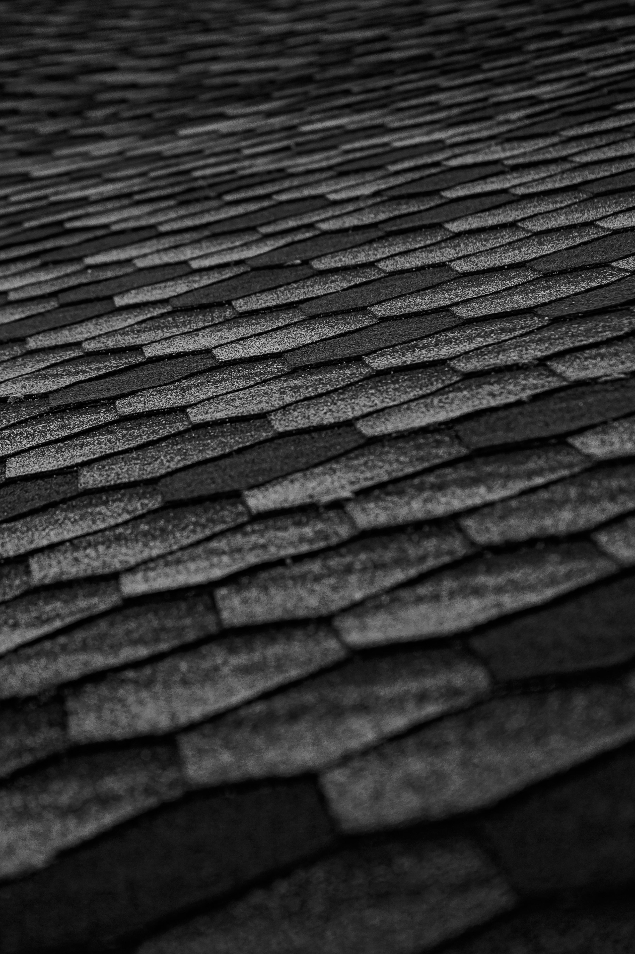 Asphalt shingle roofing material close-up - 1st Capital Certified Roofing Austin TX